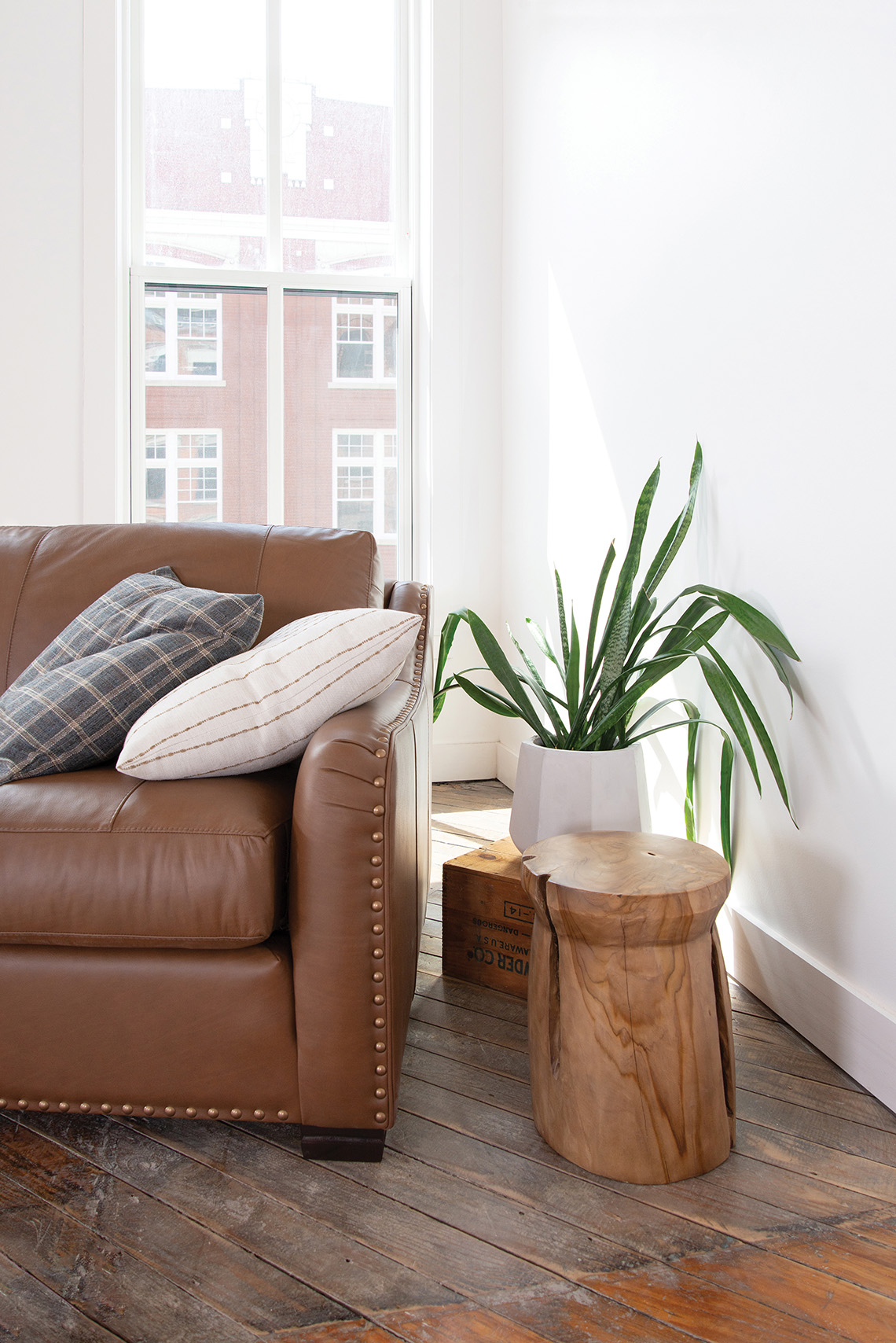 smithbrothers_transitional_living-room_warm-tan-upholstered-leather-couch_round-wooden-dside-table_throw-pillows A scene of a brown leather sofa, wooden round side table, and a decorative plant sitting by a window